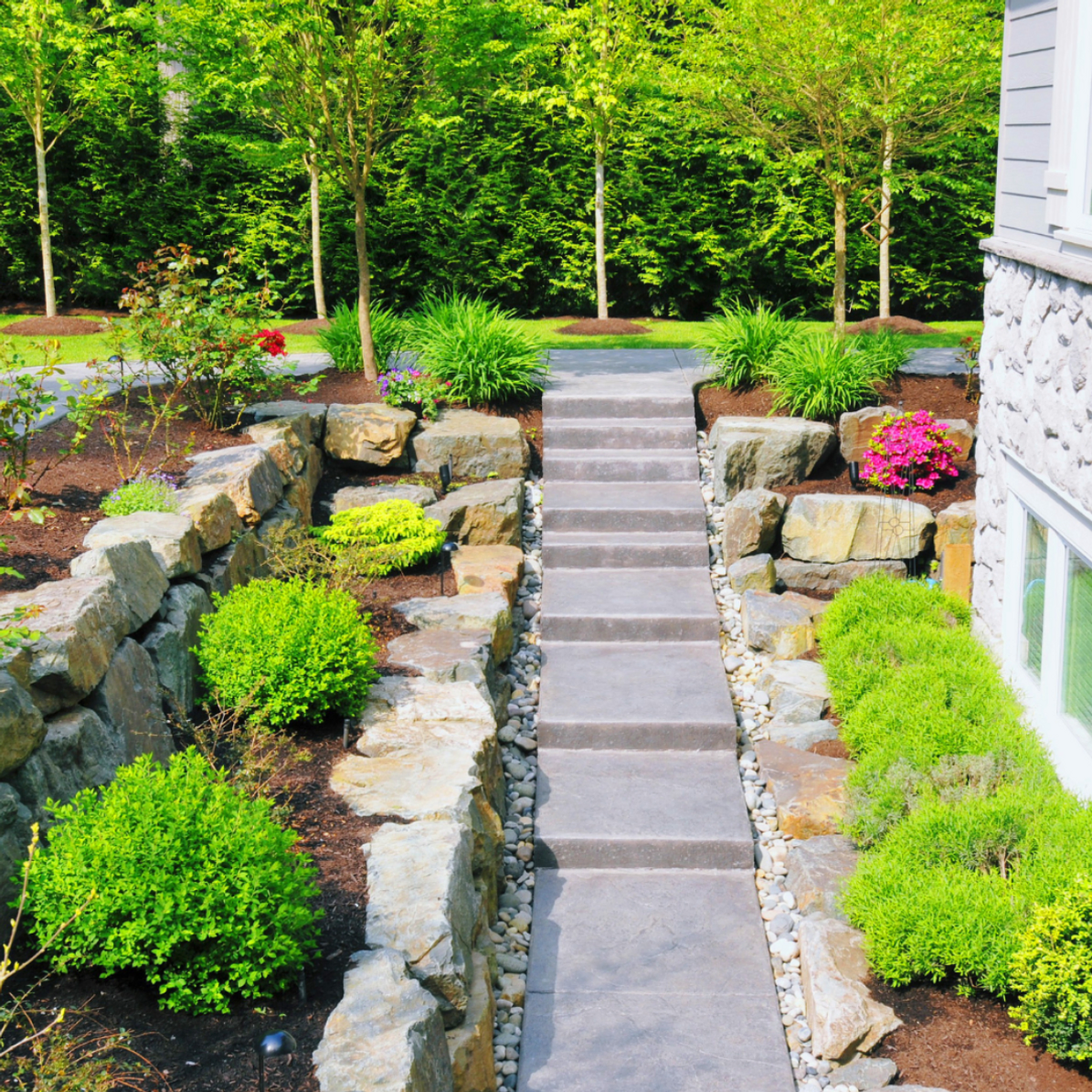 Walkways and Plant Beds in Brookline