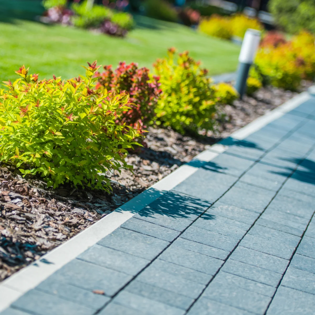 Commercial Hardscape and Plantings in Concord