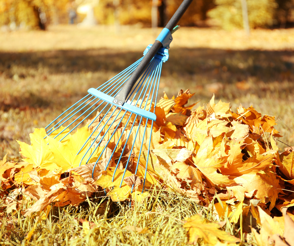 Fall Lawn Maintenance Guide